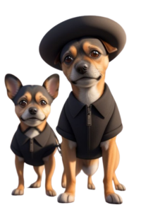 Two small dogs - one wearing a rimmed hat and other wearing black shor sleeve shirts including collars on the shirt.