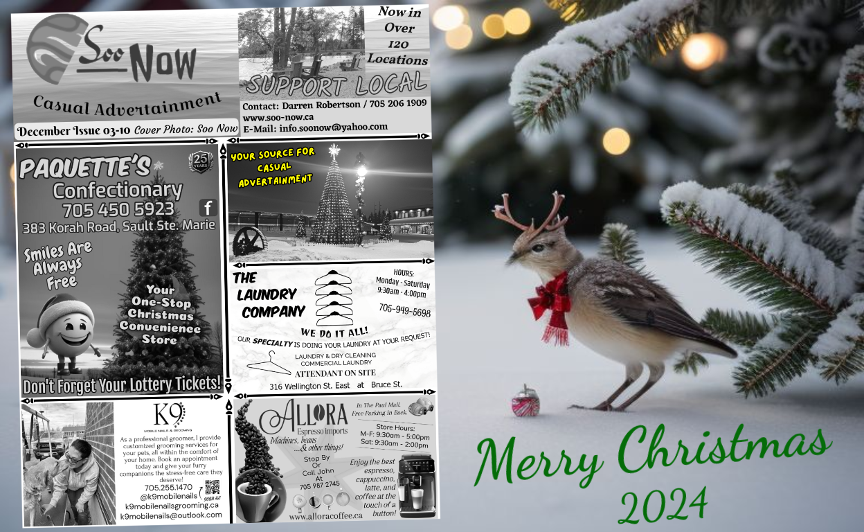 Soo Now cover page of latest issue 03-10 with a backdrop of a bird dressed as a reindeer,