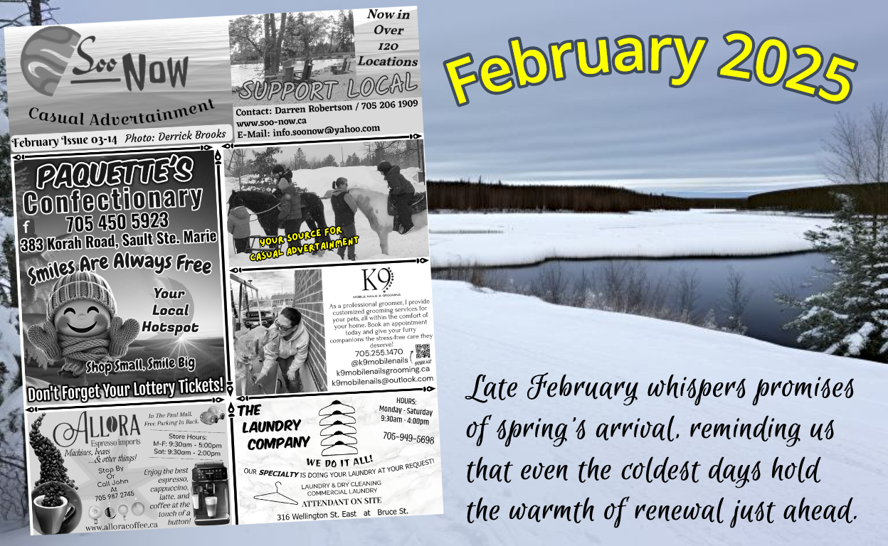 Winter - February Scene depicting Northern Ontario with the February 15 cover of Soo Now